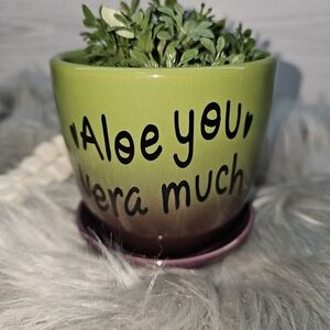🌞2 for $20🌞Funny sayings plant pot Aloe You Vera Much
